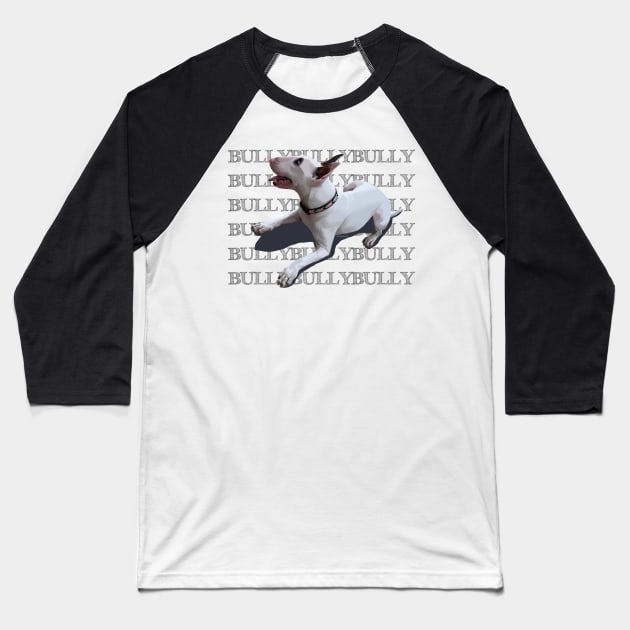 BULLYBULLYBULLY Baseball T-Shirt by MamaODea